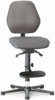 Preview: The image shows an ergonomic office chair in gray. It has a slightly adjusted backrest and an adjustable seat height. A footrest is also integrated.