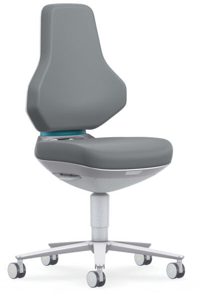 The office chair has a gray, ergonomic backrest and a padded seat. It stands on a five-spoke base with casters, which allows for mobility.