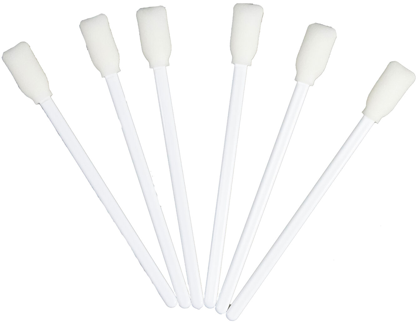 The image shows six white cotton swabs with a foamy head. The swabs are standing upright and are evenly arranged. The background is simple and bright.