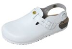 2505.251-1.00 - Men's clog with heel strap ESD white