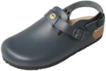 2505.251-1.11 - Men's clog with heel strap ESD blue